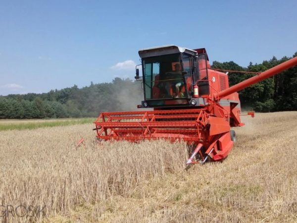 Kombajn zbożowy Bizon